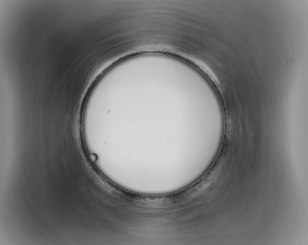 X0000115080895200911241140