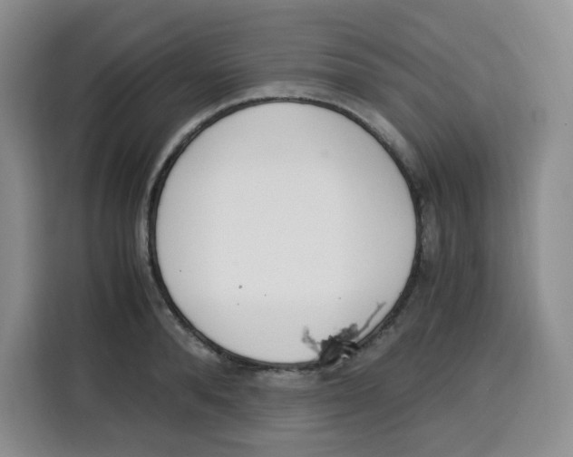 X0000115080896200911241140