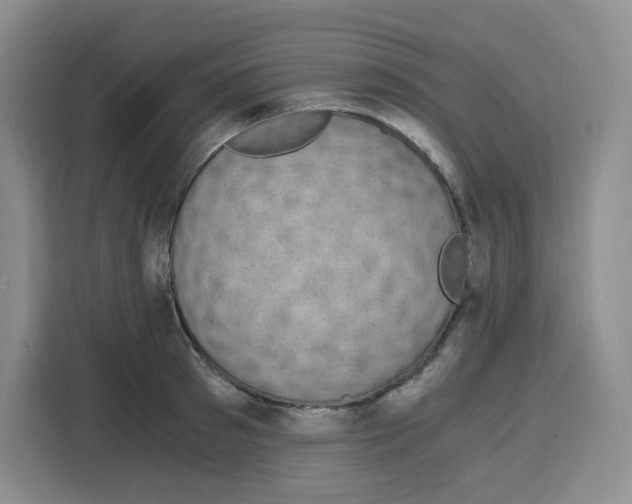 X0000115080897200911241140