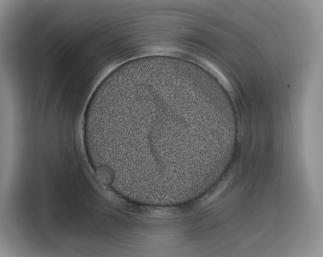 X0000115080899200911241140