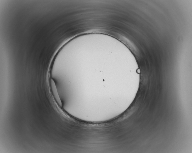 X0000115080900200911241140