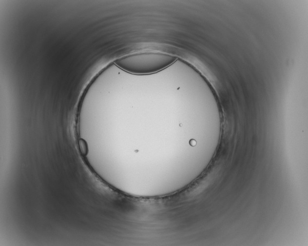 X0000115080901200911241140