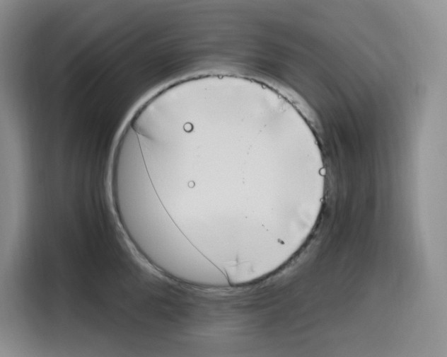 X0000115080904200911241140