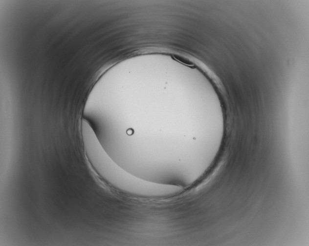 X0000115080905200911241140