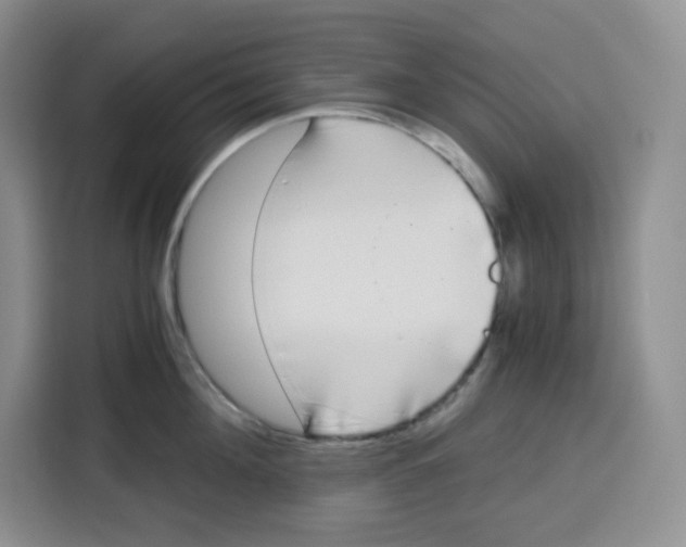 X0000115080908200911241139