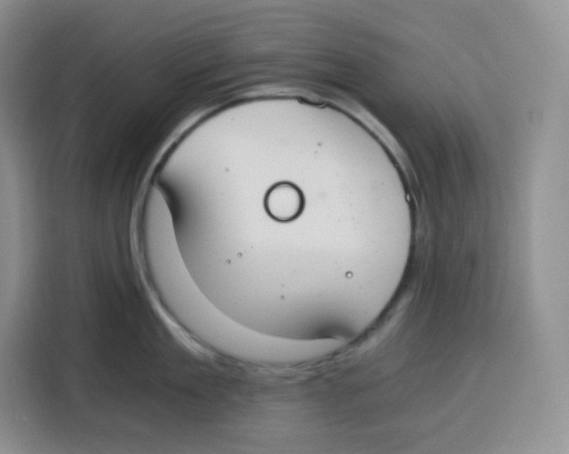 X0000115080909200911241139