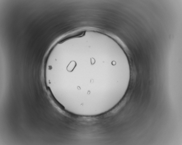 X0000115080910200911241139