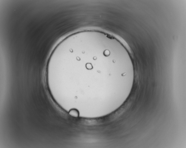 X0000115080911200911241139