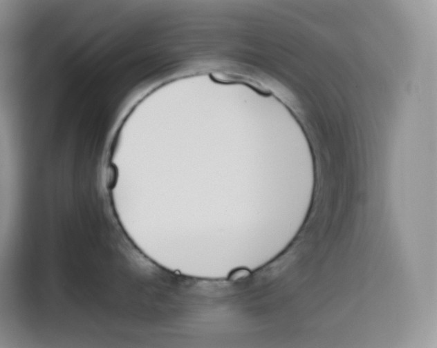 X0000115080912200911241139