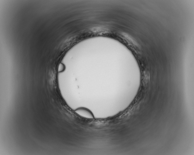 X0000115080917200911241139