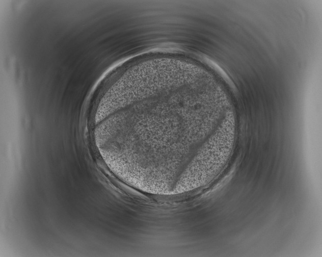 X0000115080923200911241139