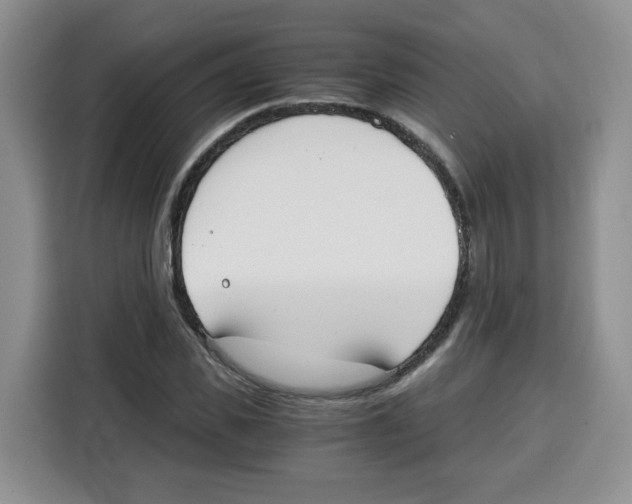 X0000115080925200911241139