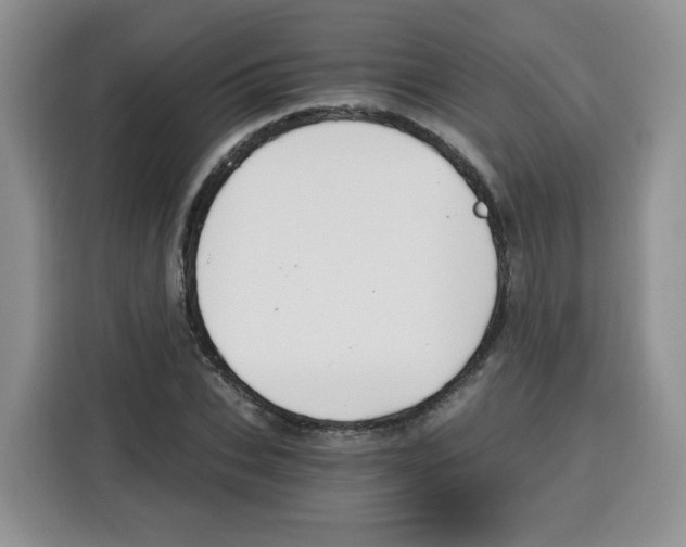 X0000115080927200911241139