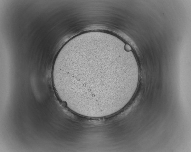 X0000115080937200911241139