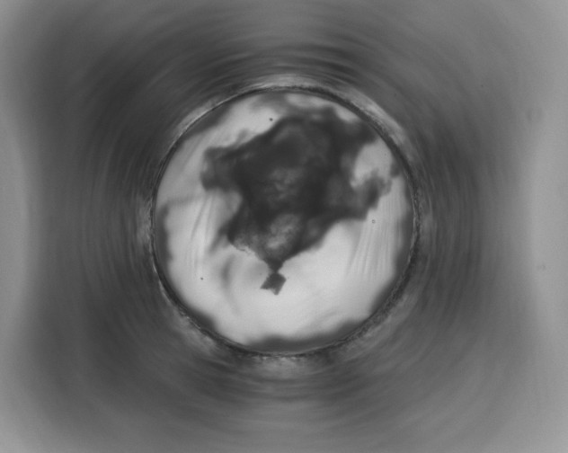 X0000115080945200911241139