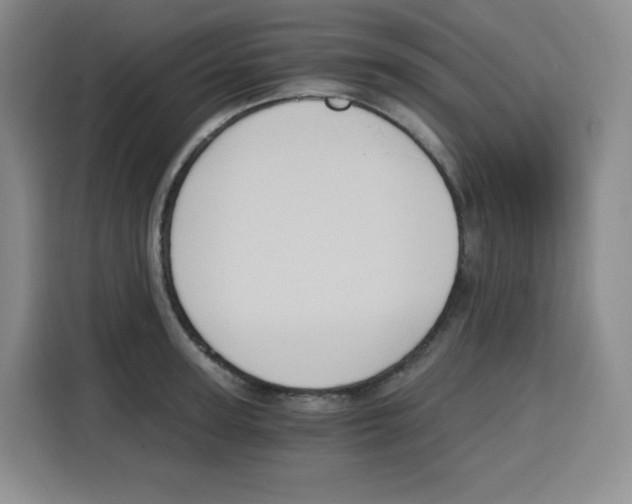 X0000115080947200911241139