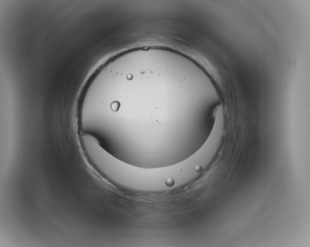 X0000115080950200911241139