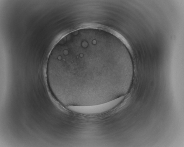 X0000115080954200911241139