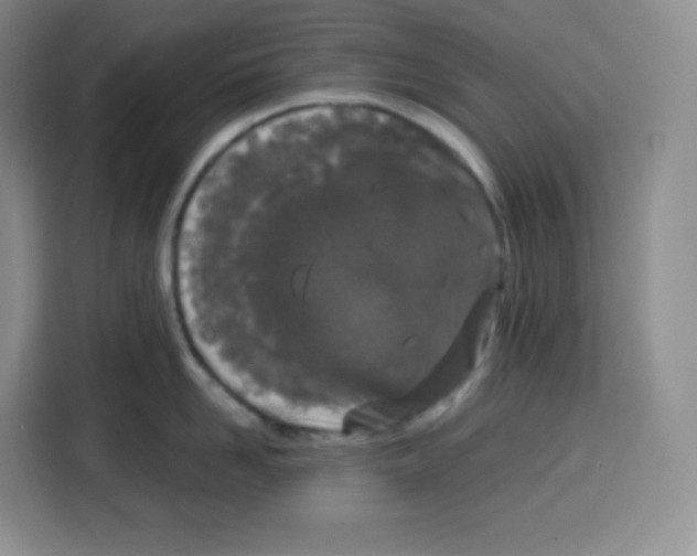 X0000115080958200911241139