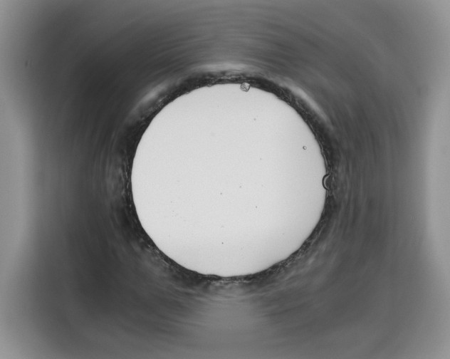 X0000115080967200911241139