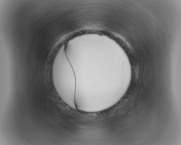 X0000115080968200911241139