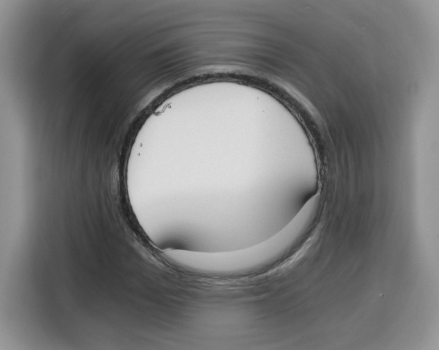 X0000115080969200911241139