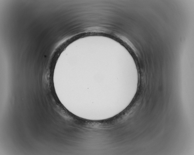 X0000115080971200911241139