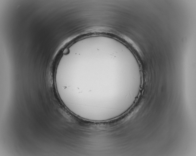 X0000115080973200911241139
