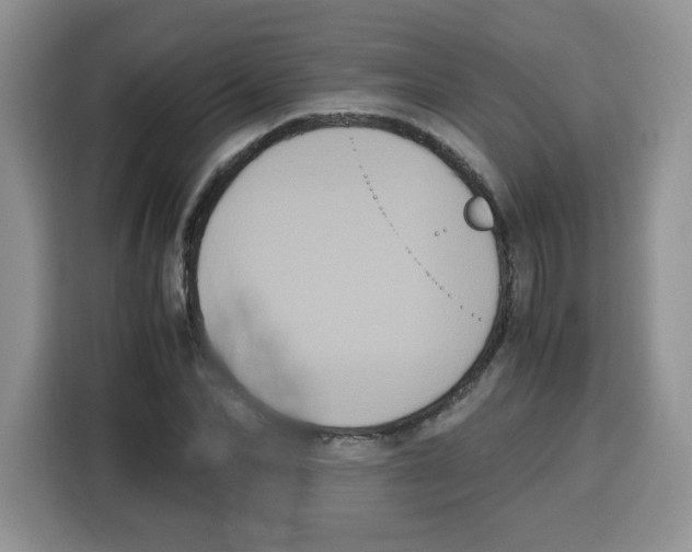 X0000115080974200911241139
