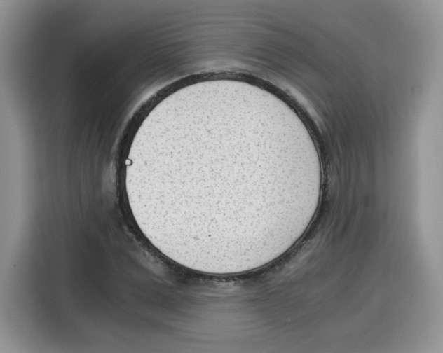 X0000115080975200911241139