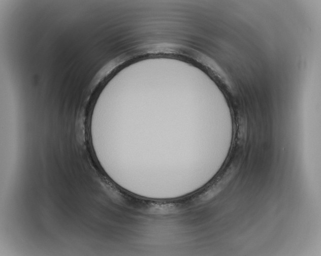 X0000115080978200911241139