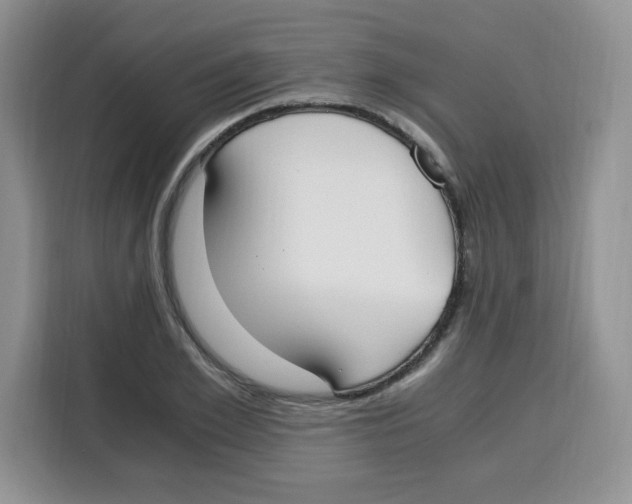 X0000115080981200911241139