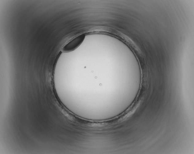X0000115080985200911241138