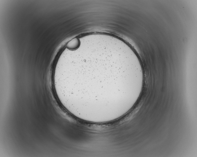 X0000115080987200911241138