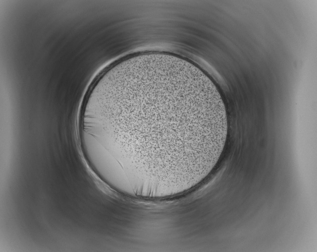 X0000115080988200911241138