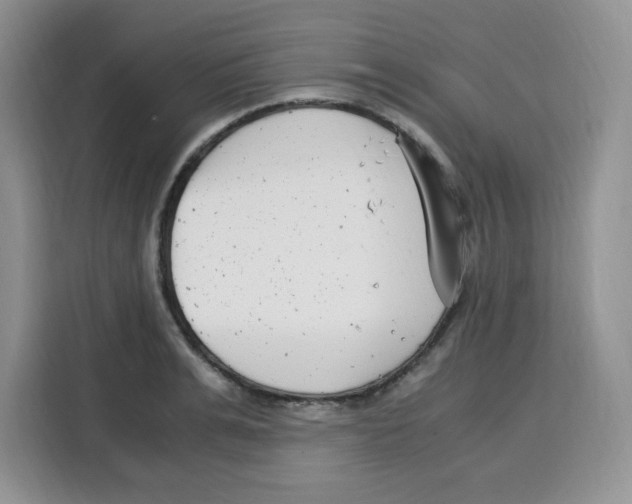 X0000115080991200911241138