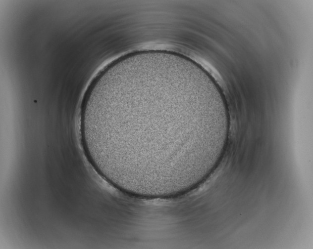 X0000115080992200911241138