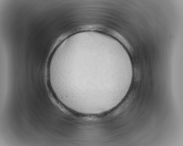 X0000115080994200911241138