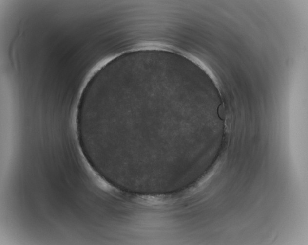 X0000115080995200911241138