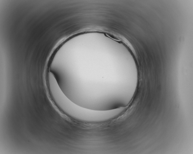 X0000115080997200911241138