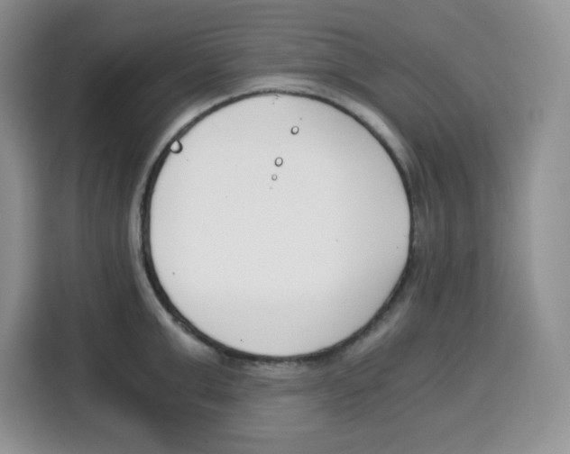X0000115080999200911241138