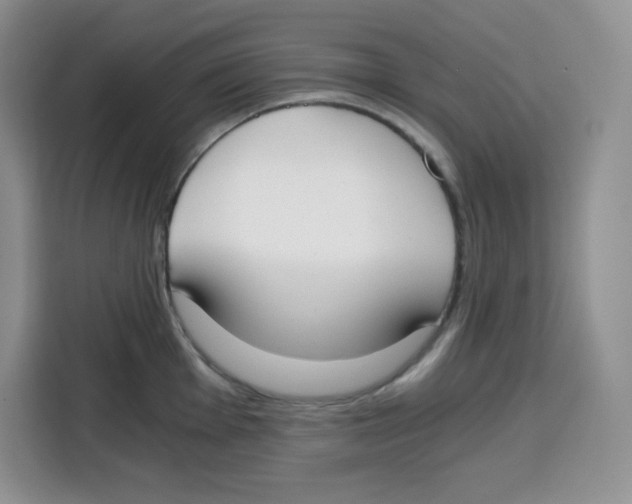 X0000115081001200911241138