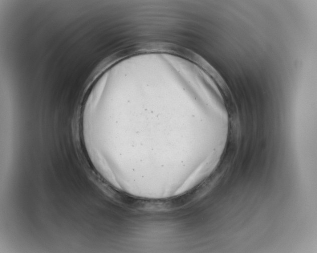 X0000115081002200911241138