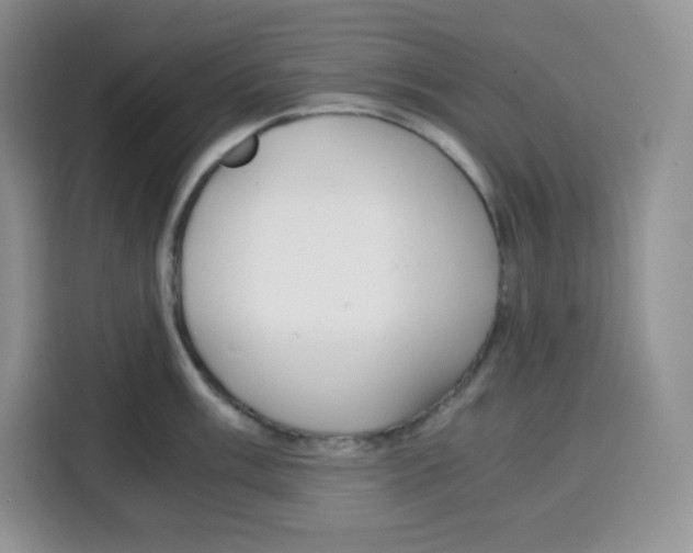 X0000115081003200911241138