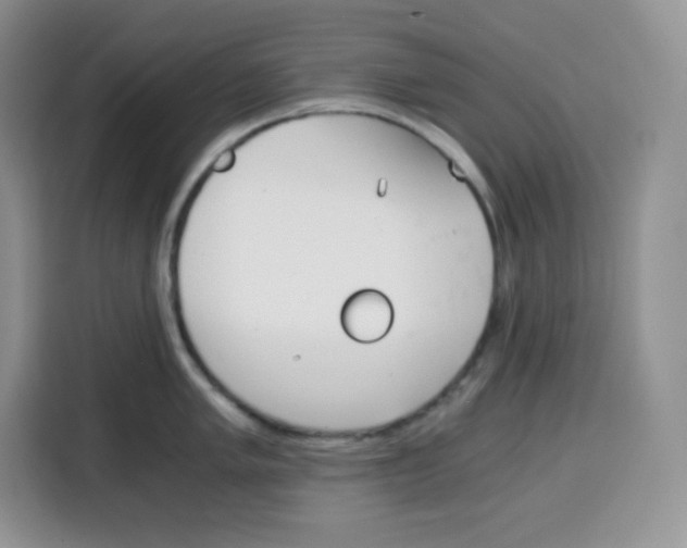 X0000115081005200911241138