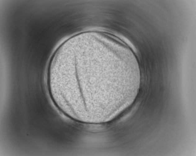 X0000115081007200911241138