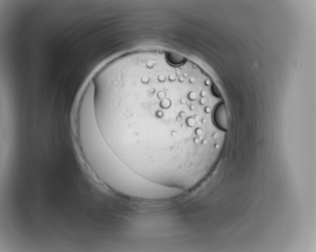 X0000115081008200911241138