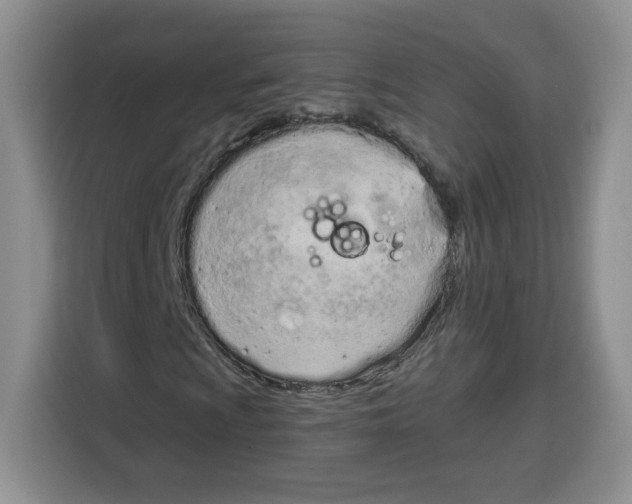 X0000115081009200911241138