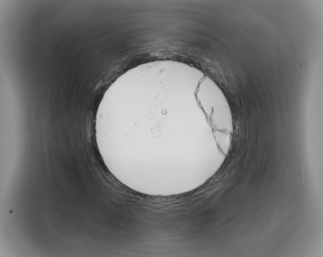 X0000115081012200911241138
