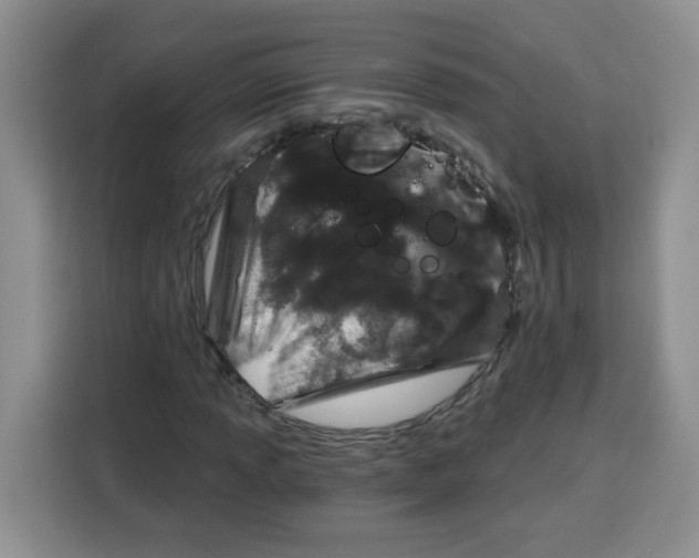 X0000115081013200911241138